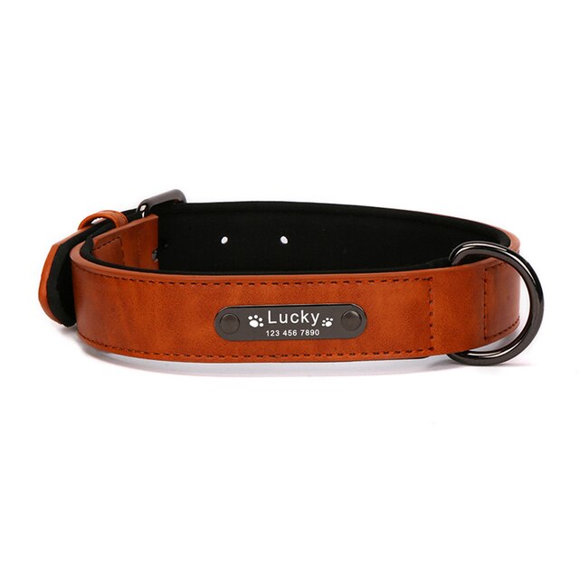 Luxury Custom Wide Leather Dog Collar, with personalized engraving, for small and large breeds