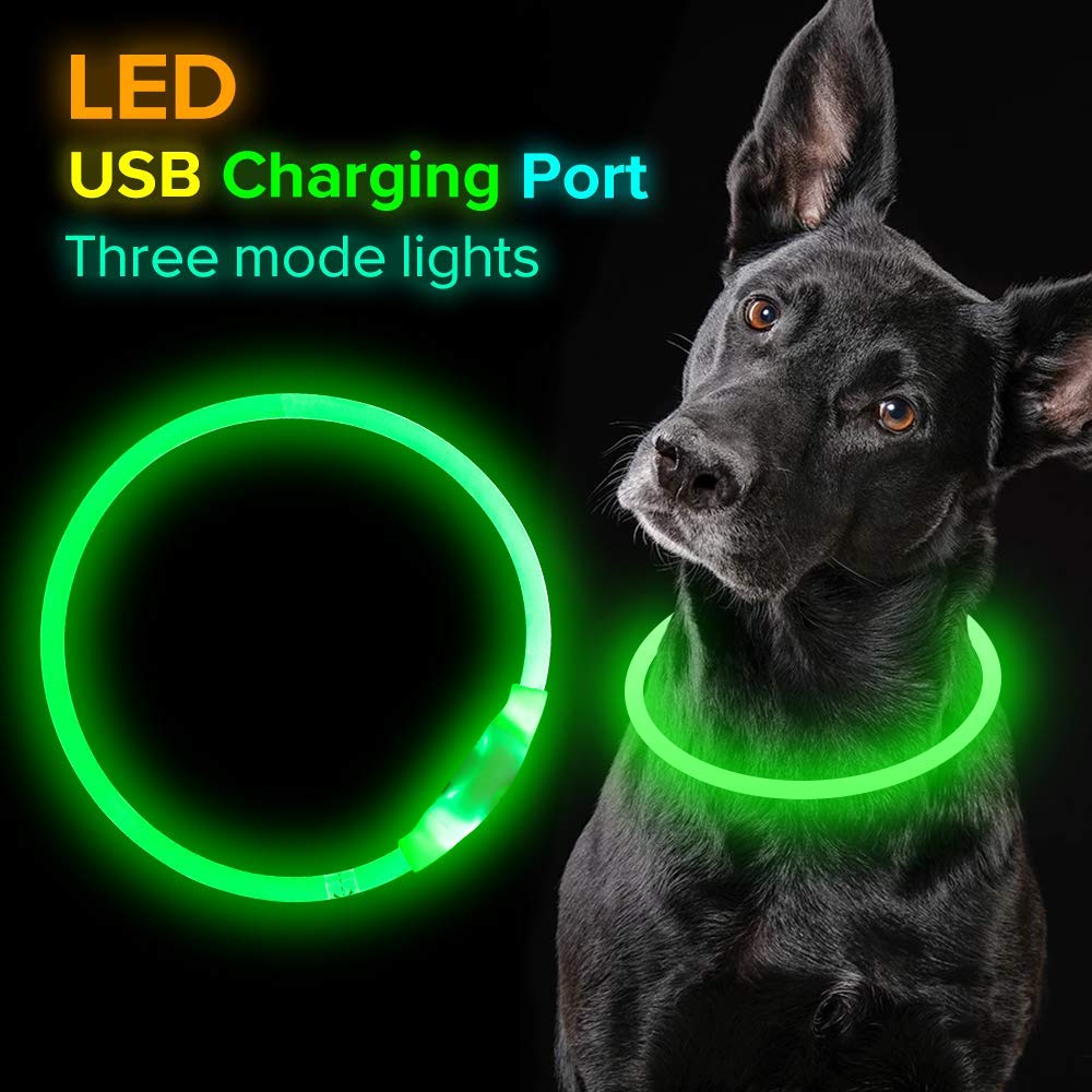 Neon light up collar, USB re chargable, for small to large breeds