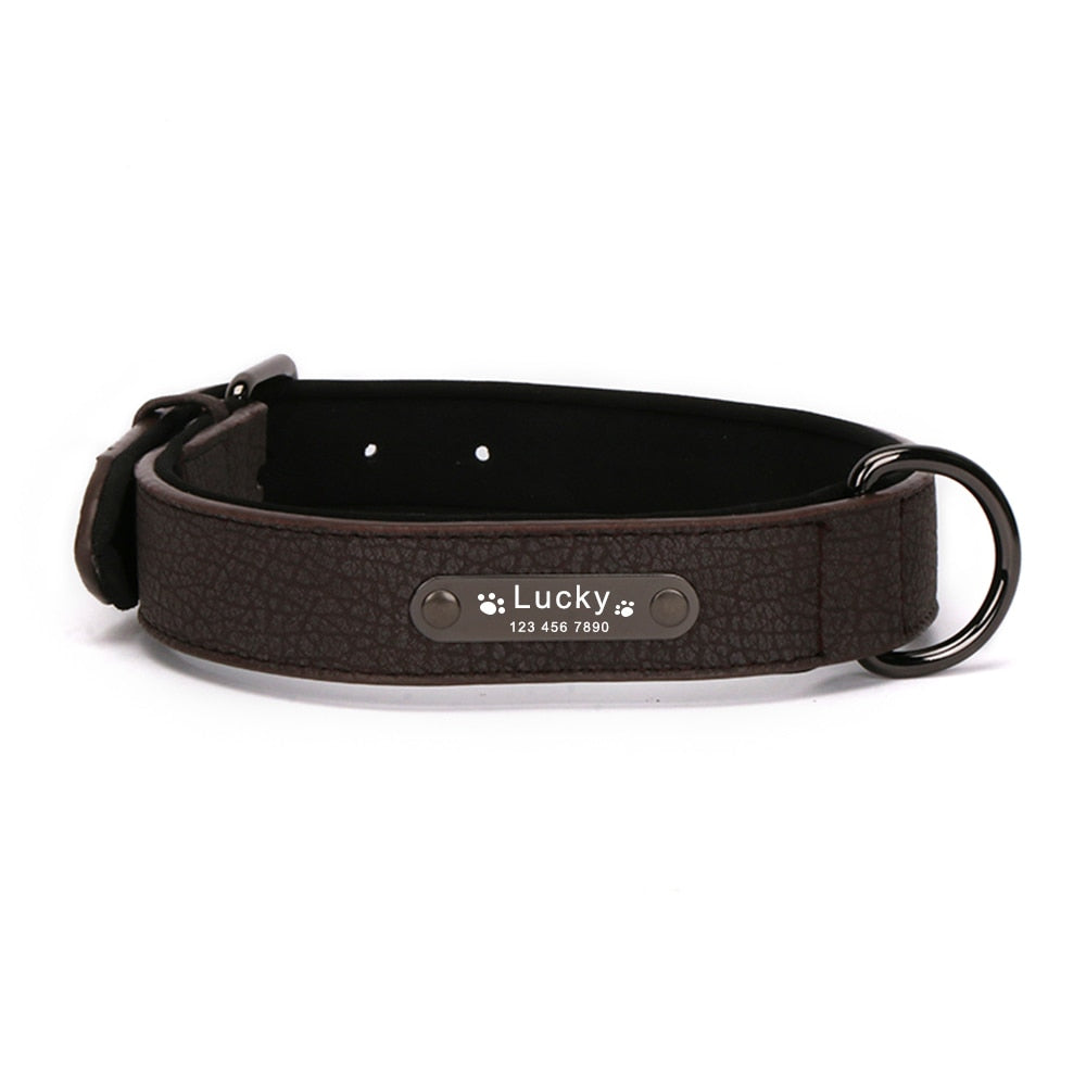 Luxury Custom Wide Leather Dog Collar, with personalized engraving, for small and large breeds