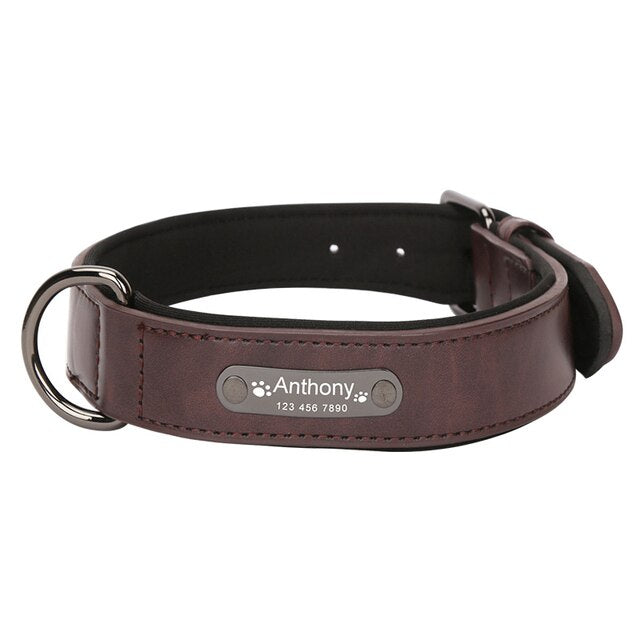 Luxury Custom Wide Leather Dog Collar, with personalized engraving, for small and large breeds