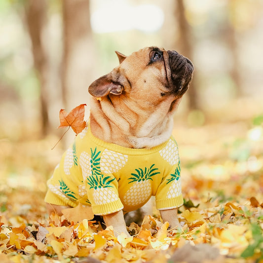 Yellow Pineapple Jumper