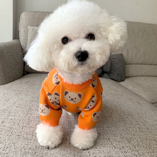 Orange Jumper, With Cute Bear