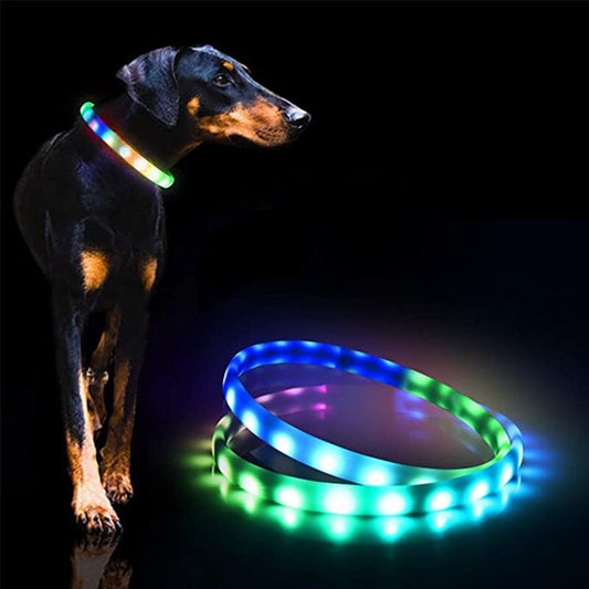 White LED Dog Collar, USB Charging, cut to size