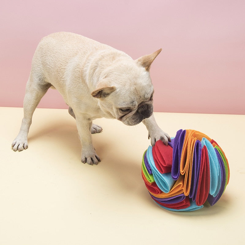 Snuffle Ball Dog Puzzle