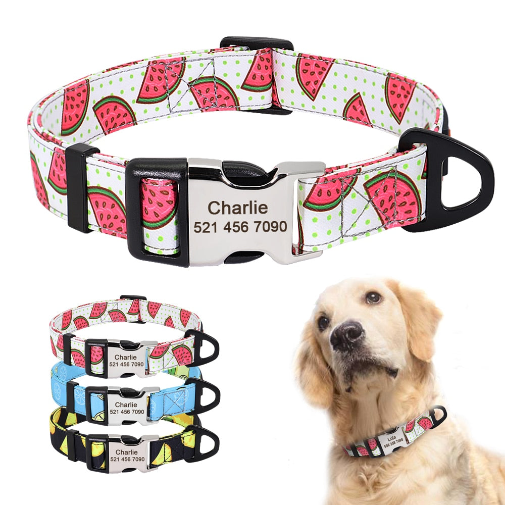 Personalized Dog Collar and lead, as a set or separate, for small to large breeds