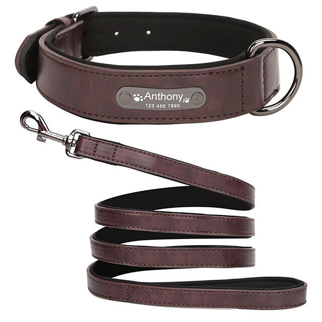 Luxury Custom Wide Leather Dog Collar, with personalized engraving, for small and large breeds