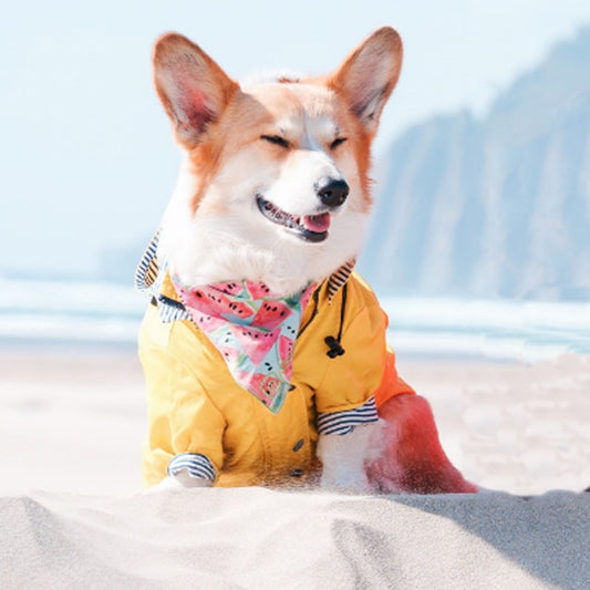 Yellow, Zip & Button Up Rain Coat, With Cute Inside Stripes