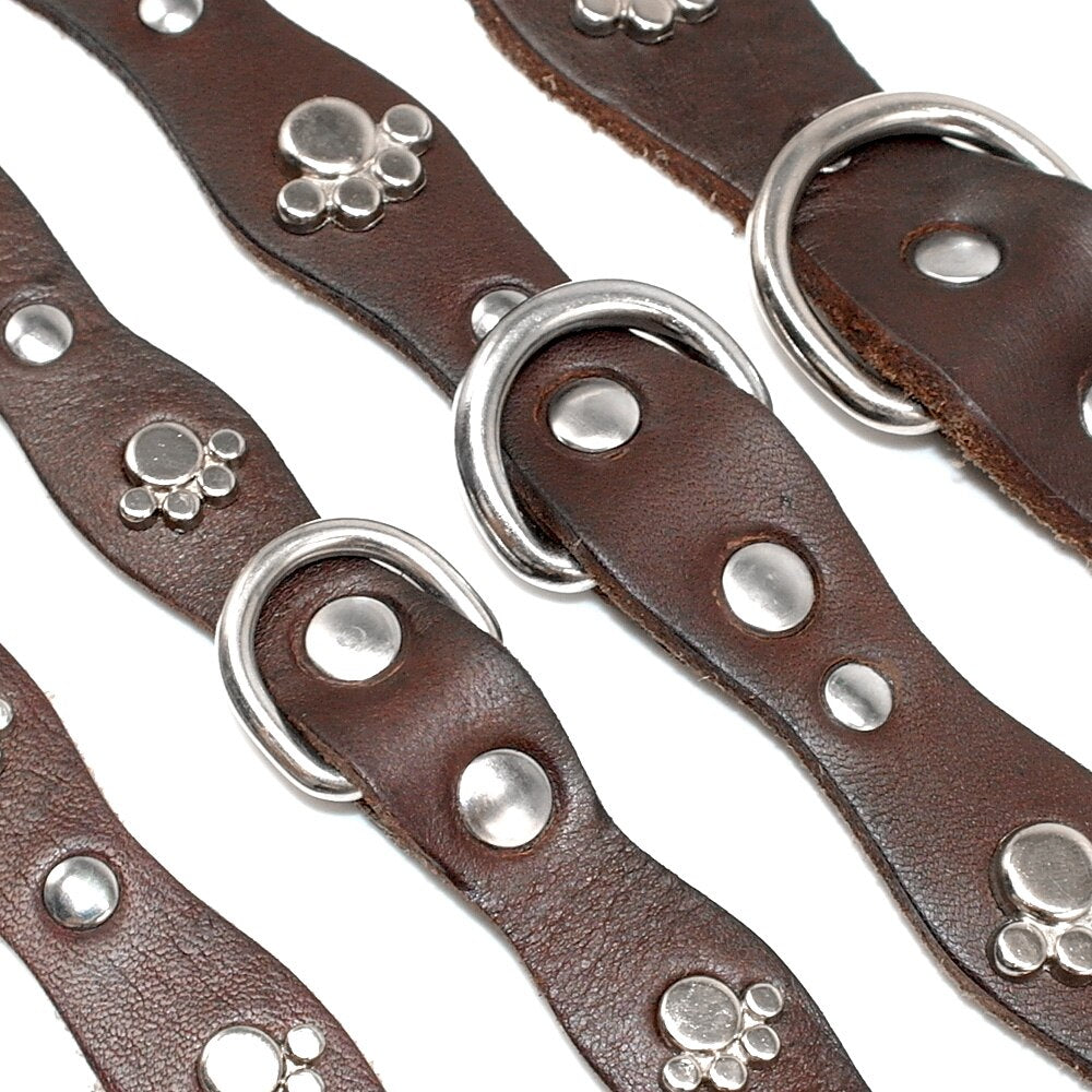 Soft, genuine brown Leather Studded Collar. Puppys/small dogs