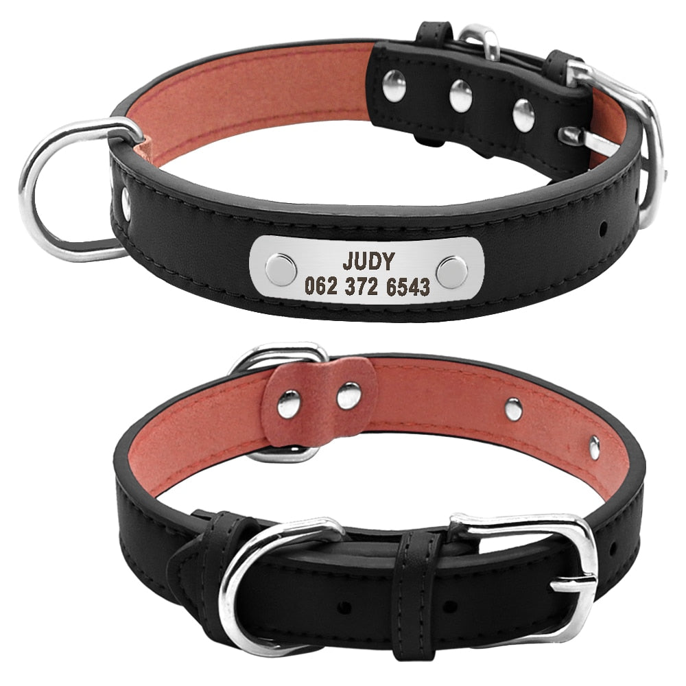 Large Durable Personalized Dog Collar, with Paddedleather, Customized ID tag, for Small to large breeds