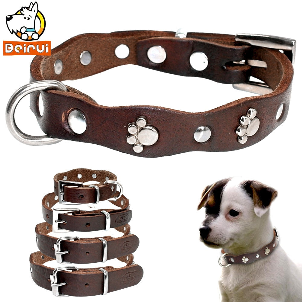 Soft, genuine brown Leather Studded Collar. Puppys/small dogs