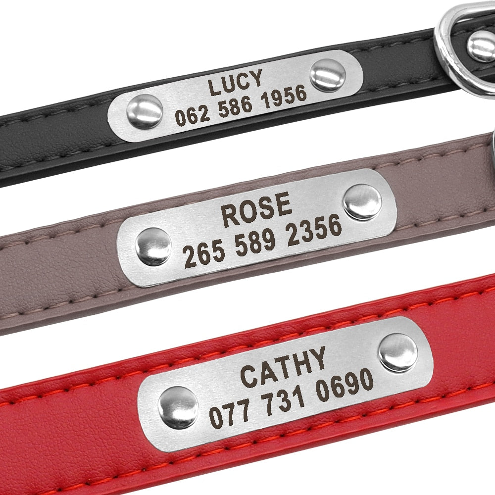 Large Durable Personalized Dog Collar, with Paddedleather, Customized ID tag, for Small to large breeds