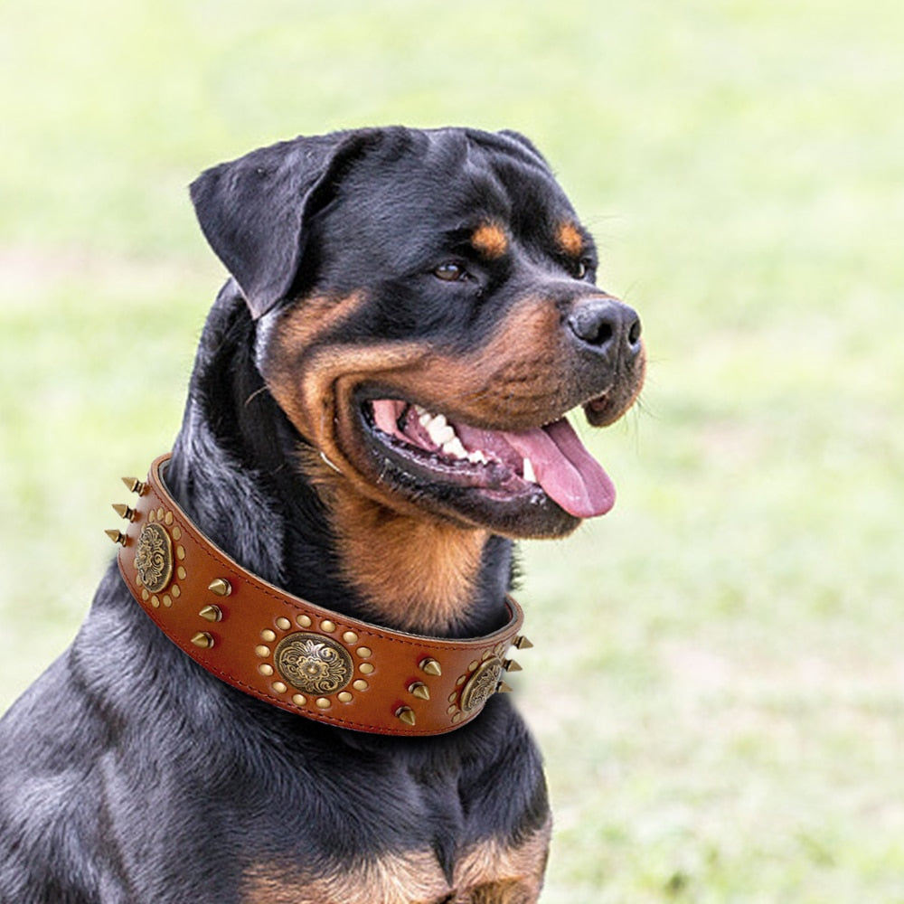 Leather Collars, Adjustable Spiked Studded for Medium to Large Dogs