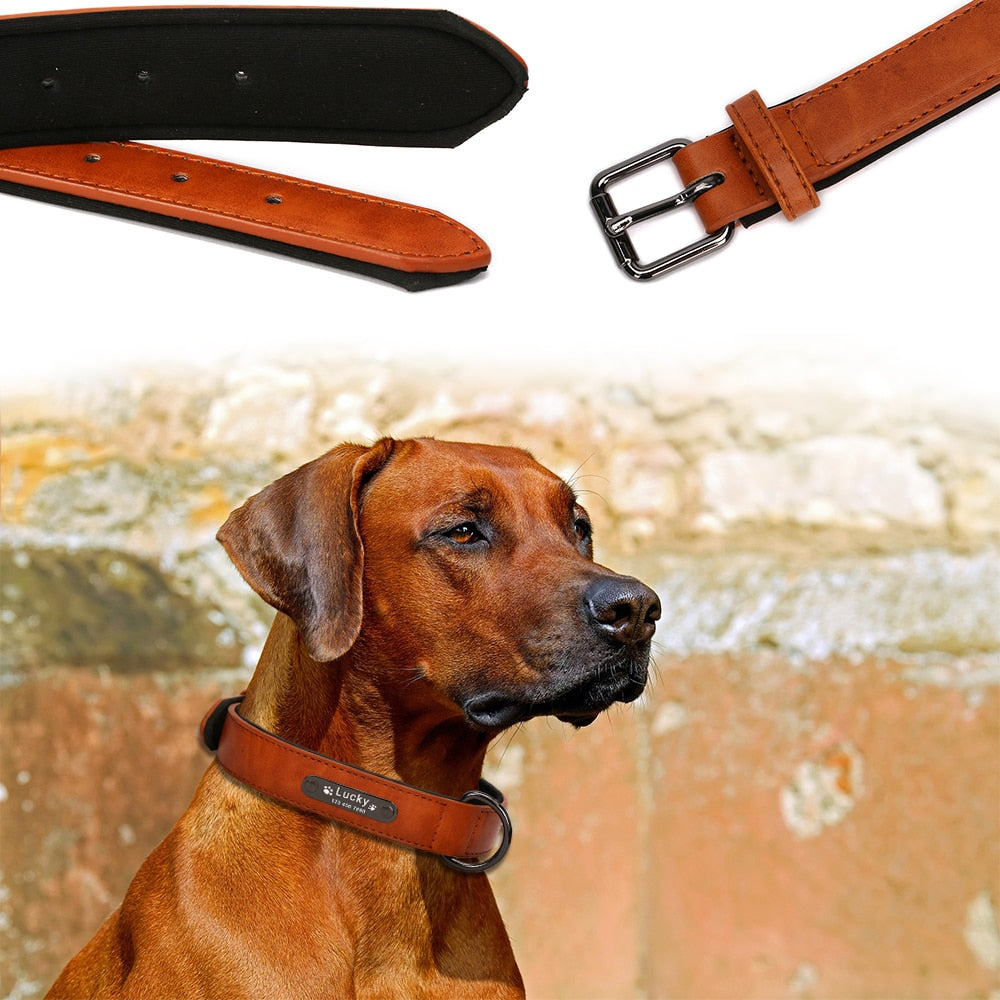 Luxury Custom Wide Leather Dog Collar, with personalized engraving, for small and large breeds