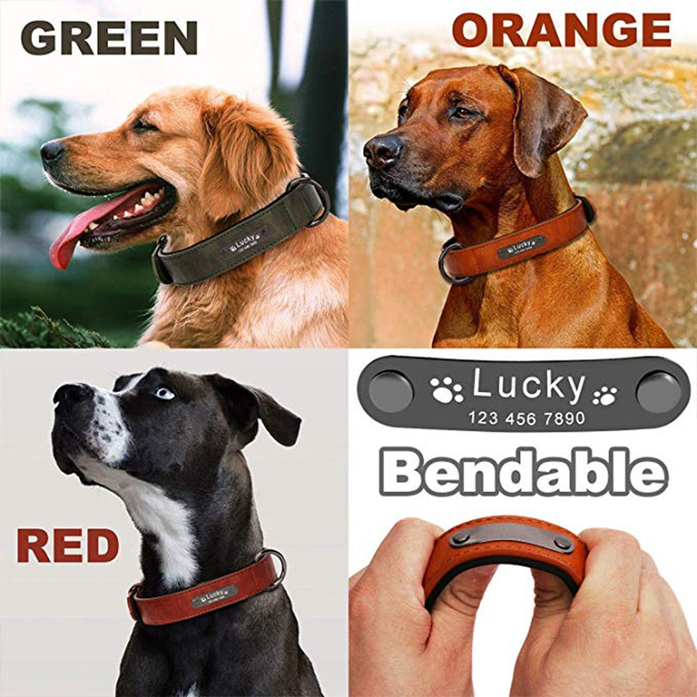 Luxury Custom Wide Leather Dog Collar, with personalized engraving, for small and large breeds