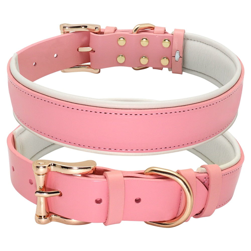 Padded Leather puppy collar, for medium to extra large breeds