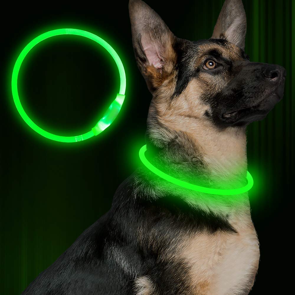 Neon light up collar, USB re chargable, for small to large breeds