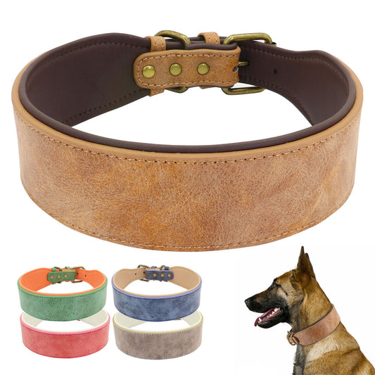 Wide leather padded dog collars, for extra large and XXL breeds