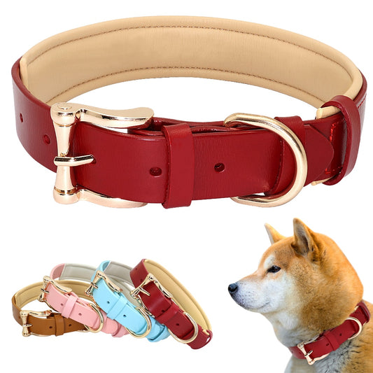 Padded Leather puppy collar, for medium to extra large breeds