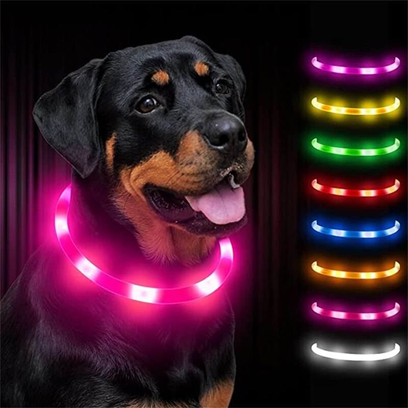 LED light up Dog Collar, USB Rechargeable, for medium to extra large