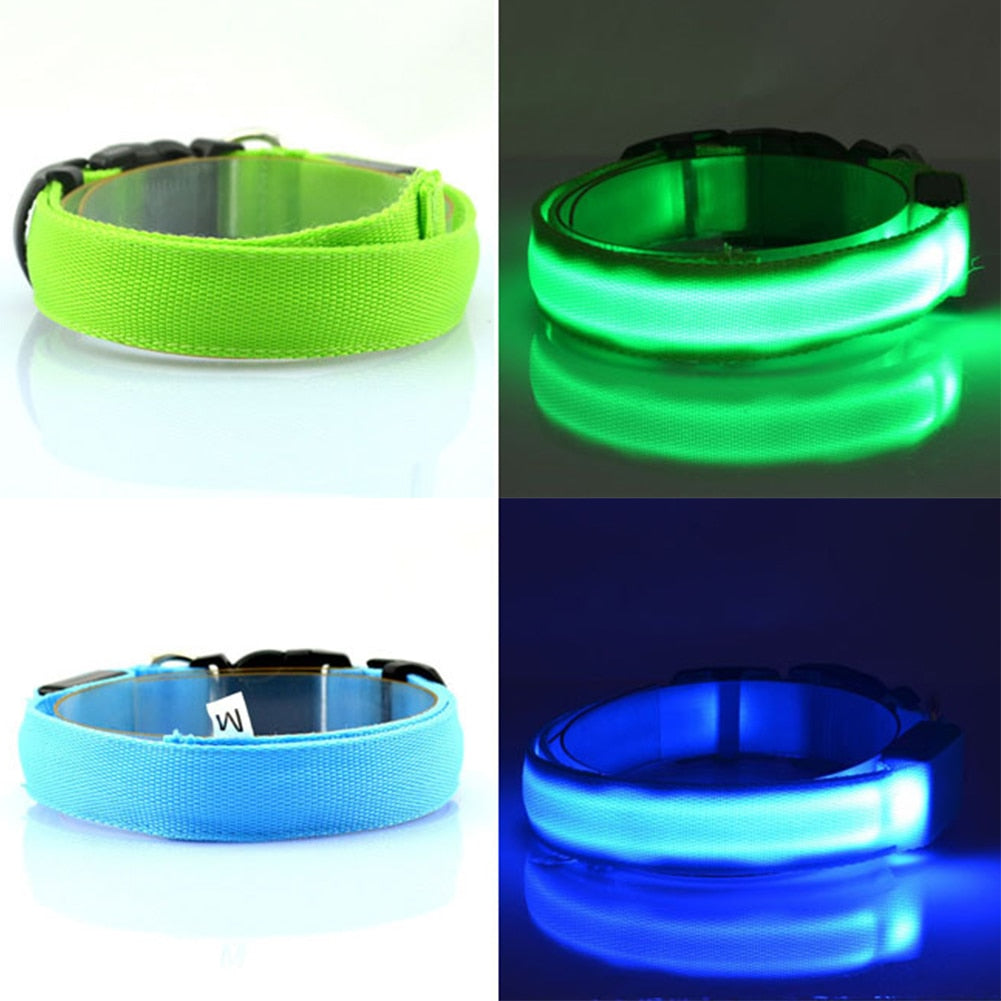 LED light up dog collar, for small to extra large breeds