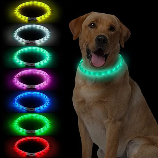 LED light up Dog Collar, USB Rechargeable, for medium to extra large