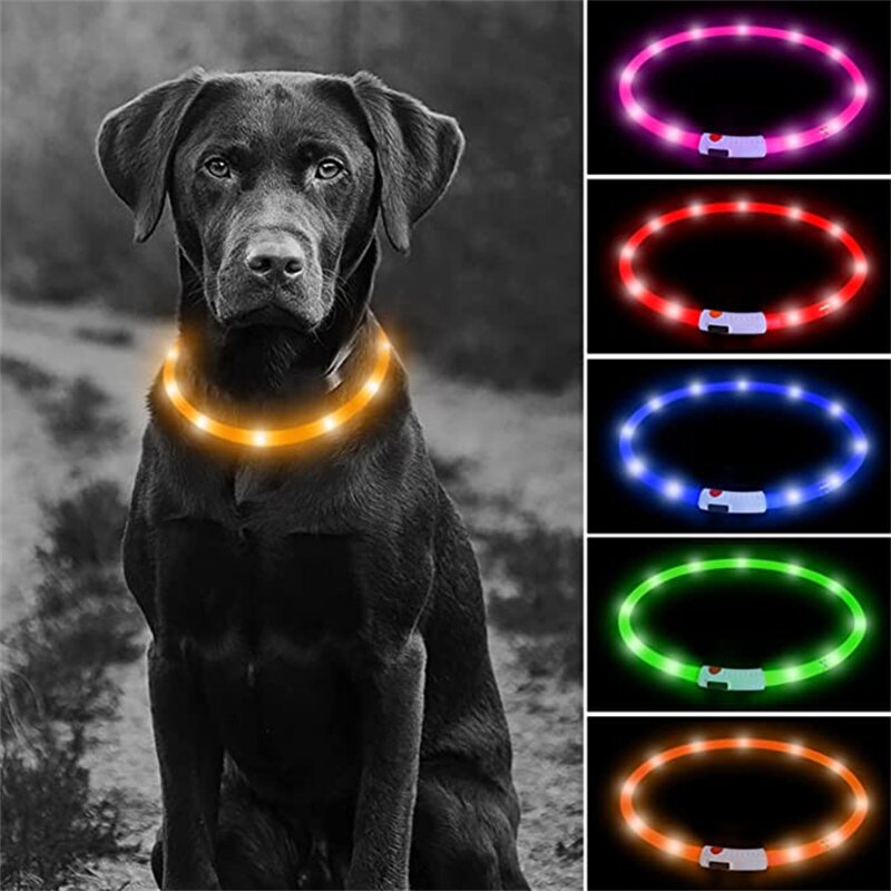 LED dog collar, USB rechargeable, for medium to extra large breeds