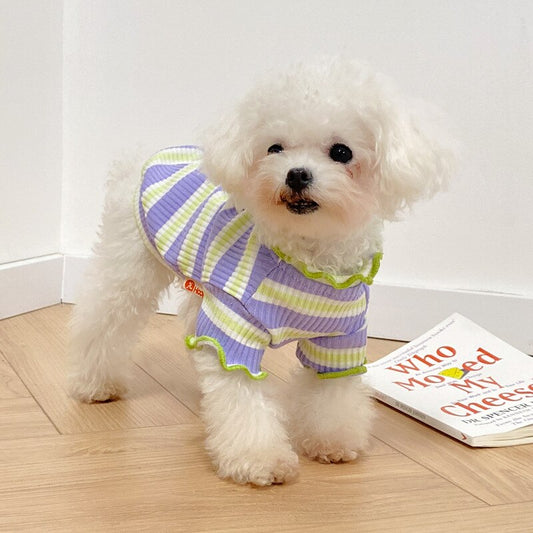 Striped Summer Colours Jumper