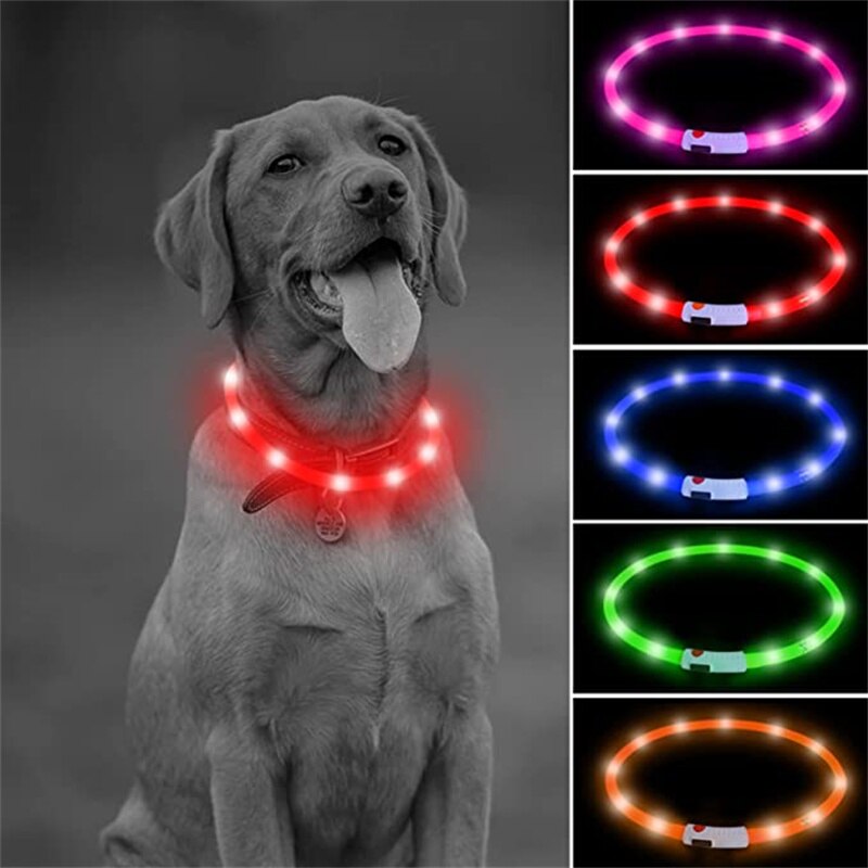 LED dog collar, USB rechargeable, for medium to extra large breeds