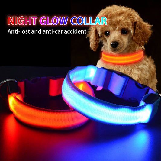 LED light up dog collar, for small to extra large breeds