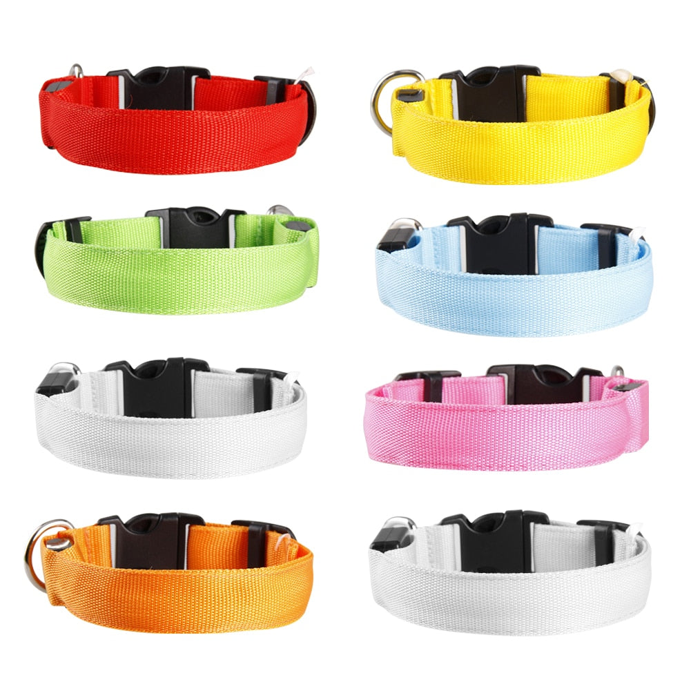 LED light up dog collar, for small to extra large breeds