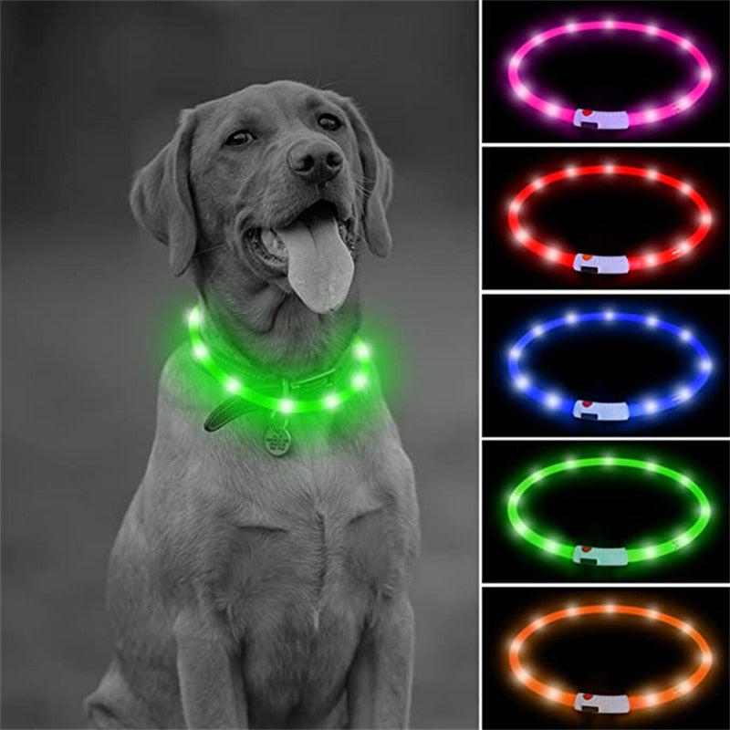 LED dog collar, USB rechargeable, for medium to extra large breeds