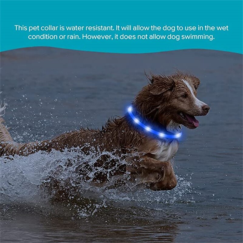 LED dog collar, USB rechargeable, for medium to extra large breeds