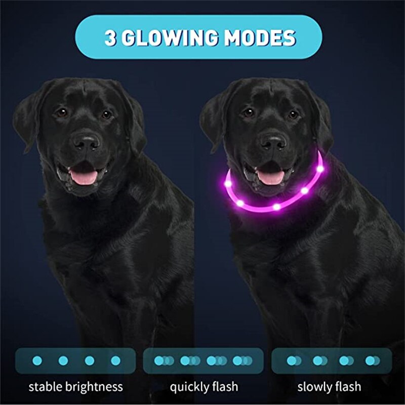 LED dog collar, USB rechargeable, for medium to extra large breeds