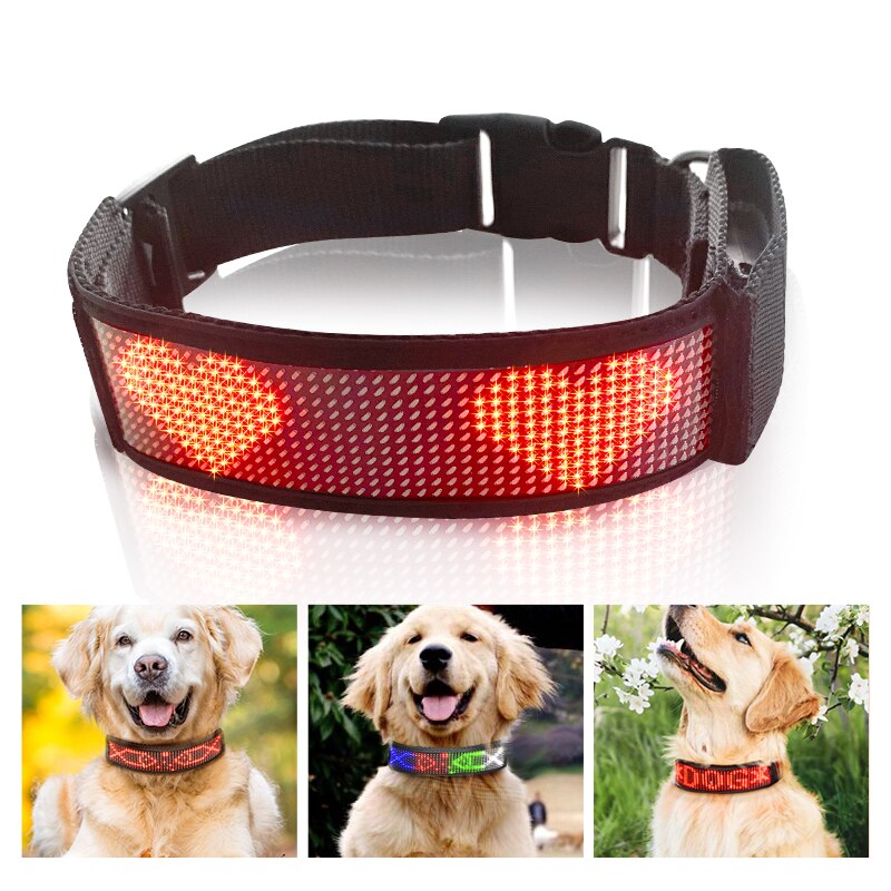 LED adjustable dog collar, USB re chargable, for small to medium breeds